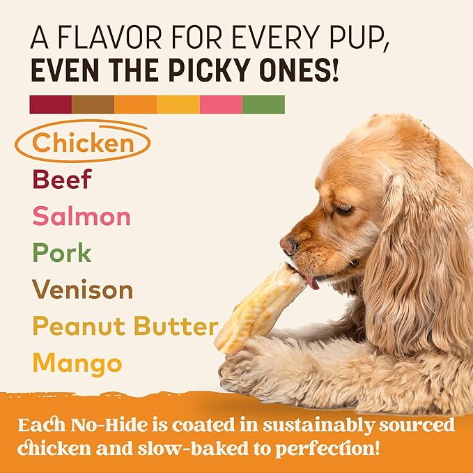 Earth Animal No Hide Chews - Long Lasting Rawhide Free Small Dog Chews Rolls, Chicken - 6 Count