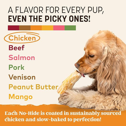 Earth Animal No Hide Chews - Long Lasting Rawhide Free Small Dog Chews Rolls, Chicken - 6 Count