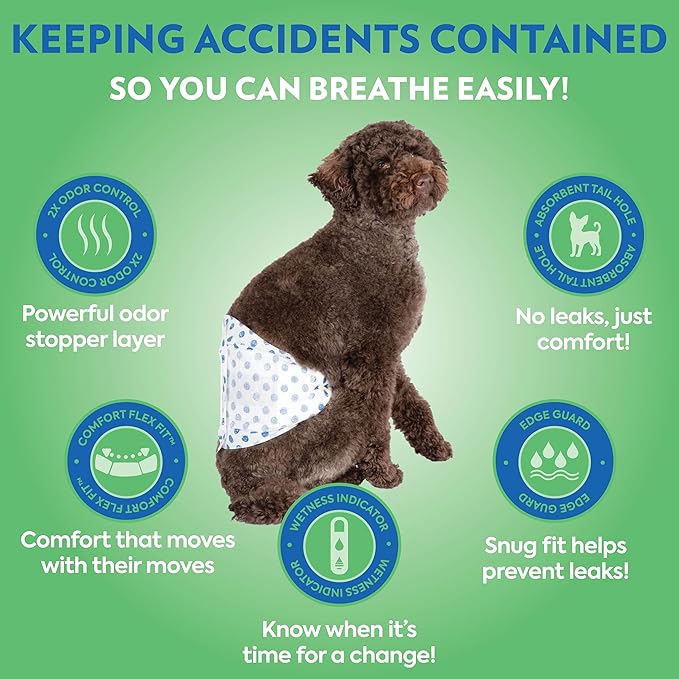 Out! PetCare Disposable Male Dog Wraps, Puppy Pee Wraps, Belly Bands for Dogs, Leak Proof, Wetness Indicator, Puppy and Doggie Diaper for Peeing, Medium/Large, 32 Count