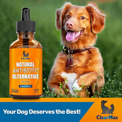 Dog Antibiotics for Infections, Allergies, Coughs – Natural Antibiotics for Dogs with Cranberry Provide Urination & Digestion Care – Natural Ingredients + Bacon Flavor – 2 Oz