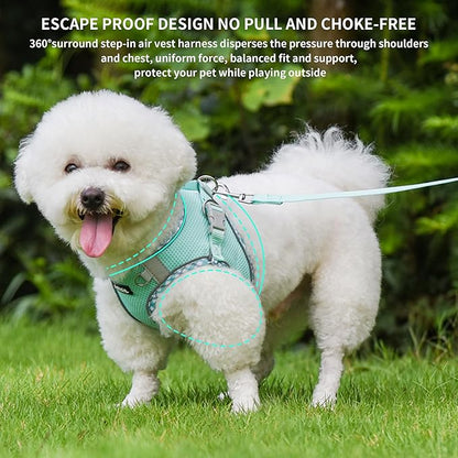 AIITLE Escape-Proof Dog Harness - Extra Soft Jacquard Fabric with Moisture-Wicking Lining, Adjustable Fit for Boston Terrier, Pekingese - Running, Playdates, Outdoor Adventures (Turquoise, L)