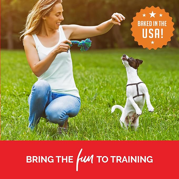 Buddy Biscuits Trainers Training Bites Soft & Chewy Dog Treats, Beef, 10 oz. Bag (Pack of 2)