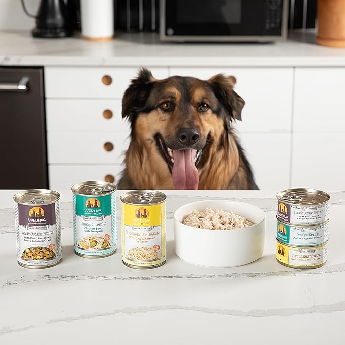 Weruva Classic Dog Food, Amazon Livin' with Chicken Breast & Chicken Liver in Pumpkin Soup, 14oz Can (Pack of 12)