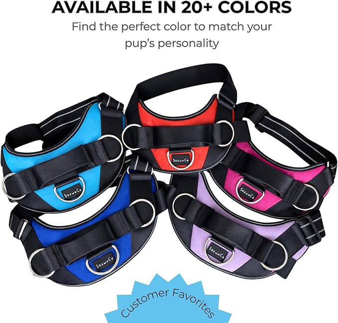 ShawnCo Essential Dog Harness, No-Pull Pet Vest with 3 Leash Clips, No Choke, Reflective, Adjustable and Padded, for Easy Walking and Training for Small, Medium and Large Dogs (Seafoam, XL)
