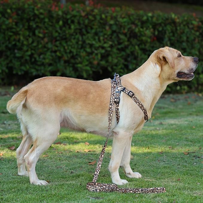 Harness and Leash Set, Leopard Pattern, 5ft Matching Leash, No Pull, Easy Wear for Medium Dogs.(M, Brown Leopard)
