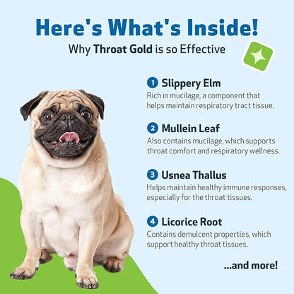 Pet Wellbeing Throat Gold for Dogs - Supports Collapsed Trachea & Throat Discomfort with Mullein & Slippery Elm for Kennel Cough - NASC Certified & Vet-Formulated 4 oz Liquid Formula