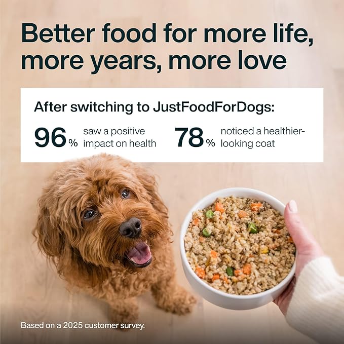 JustFoodForDogs JustFresh Wet Dog Food, Fresh Pet Meals and Toppers with No Preservatives, Resealable Package, Human Grade, Home-Cooked Pork, 12 oz - 7 Pack