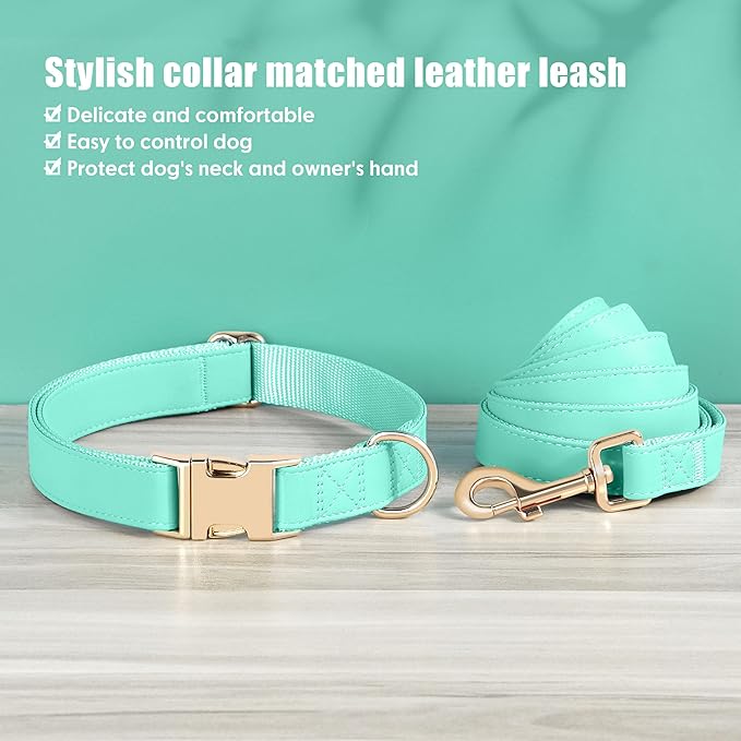 PET ARTIST Soft PU Leather Dog Collar and Leash Set, Bright & Stylish 5FT PU Leather Leash and Collar Set, Durable Pet Collars with Quick Release Metal Buckle for Large Dogs,Mint Green,L(16-27")