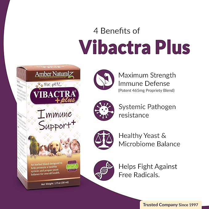 Amber NaturalZ Vibactra Plus Herbal Supplement for Dogs, Cats, Birds, Guinea Pigs, and Rabbits | Herbs for Immune Health and Yeast Balance | 1 Fluid Ounce Glass Bottle