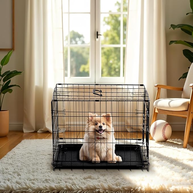 Simple Deluxe 24-Inch Single Door Dog Crate, Durable and Foldable Metal Wire Cage with Leak-Proof Plastic Tray, Portable Pet Kennel for Indoor, Outdoor, and Travel