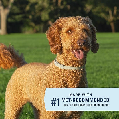 PetArmor Extend Large Dog Flea and Tick Treatment & Prevention, Collar for Large Dogs Above 18 lbs., 8 Months of Protection, Odorless & Non-Greasy, Waterproof, Kills Fleas, Ticks, and Larvae, 1 Count