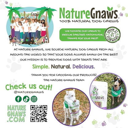Nature Gnaws Bully Sticks for Dogs 5-6" (1Lb) - Mixed Thickness - Long Lasting for Aggressive Chewers and Large Dogs - Natural Beef Dog Chew Bones
