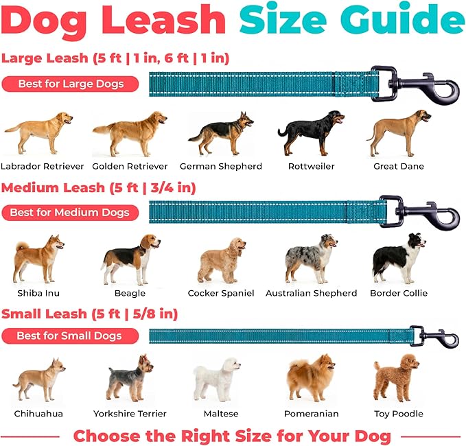Best Pet Supplies Voyager Reflective Dog Leash or Collar with Neoprene Handle, for Small, Medium, and Large Breed Puppies, Cute and Heavy Duty for Walking, Running and Training - Turquoise (Leash), L