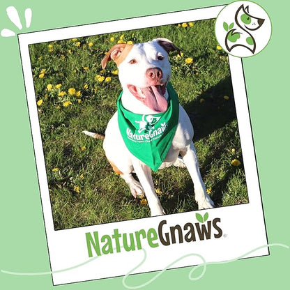 Nature Gnaws Braided Bully Sticks for Dogs 5-6" (3 Count) - Long Lasting for Small and Medium Dogs - Natural Beef Dog Chew Bones - Rawhide Free