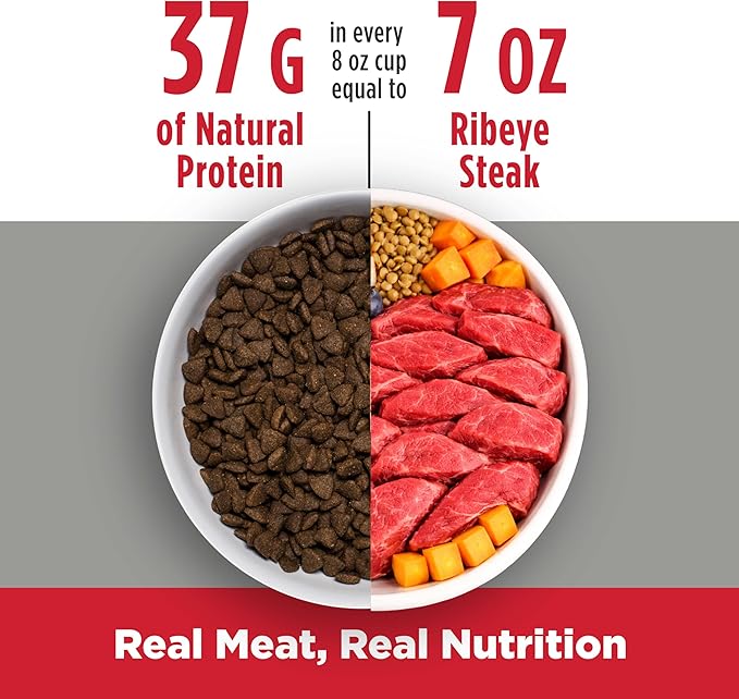 Nulo FreeStyle Small Breed Dog Food Dry - Beef & Sweet Potato, Puppy & Adult Grain Free Dog Food, Natural, High Protein, Smaller Sized Kibble with BC30 Probiotic for Healthy Digestion Support, 6lb Bag