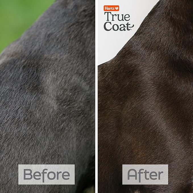 Hartz True Coat Short & Smooth Coat Dog Shampoo, 5 in 1 Soothes & Shines with Oat Milk, Coconut Oil & Vitamin E, 16 oz