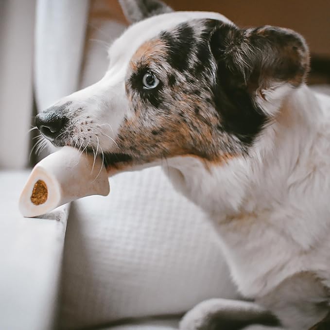Cadet Stuffed Shin Bone, Long-Lasting Dog Chew Bones for Aggressive Chewers, High Protein Filled Bone Dental Chew for Dogs, Chicken Flavor Filling, 3-4" for Small Dogs