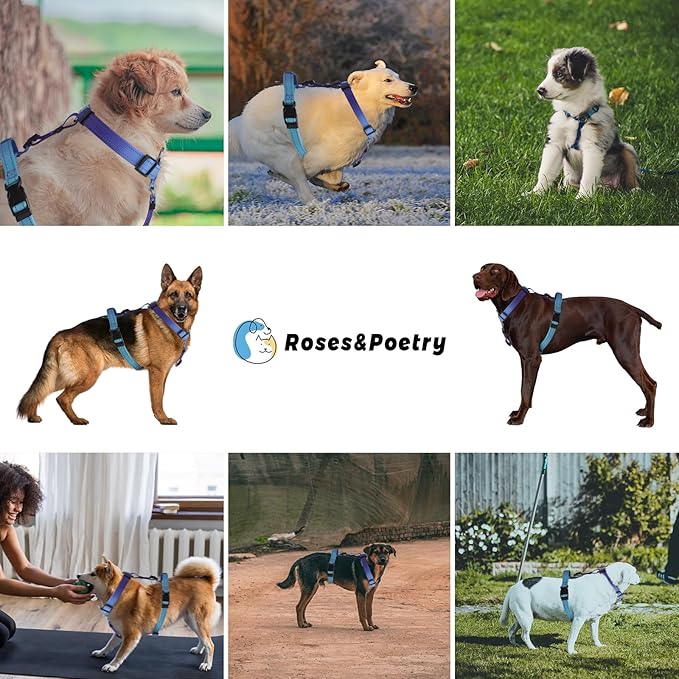 Roses&Poetry Dog Harness Large Breed, Adjustable No Pull Vest Harness and Leash Set, Reflective Puppy Harnesses with Comfort Padded Handle for Pet Training Outdoor Walking（Gsky-XL