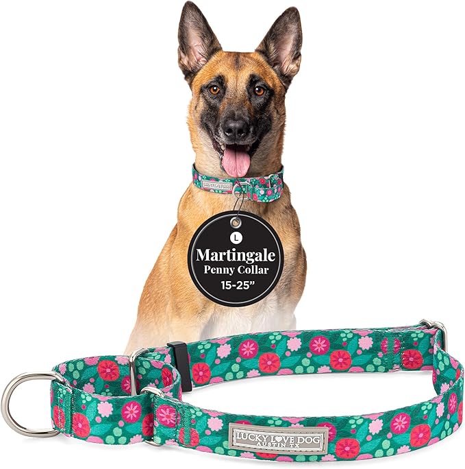 Lucky Love Dog Martingale Dog Collar - Adjustable, No-Slip, Durable, & Soft Webbing Collar for Male and Female Dogs Ideal for Training & Walking - Penny, Large