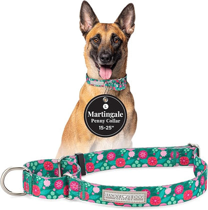 Lucky Love Dog Martingale Dog Collar - Adjustable, No-Slip, Durable, & Soft Webbing Collar for Male and Female Dogs Ideal for Training & Walking - Penny, Large