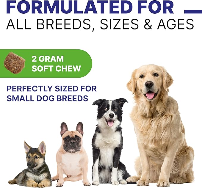 Dog Probiotic Chews for Digestive & Gut Health - Advanced Formula with Yeast, Enzymes & Fiber - Diarrhea Gas Stomach Relief Treats - Chewable Pet Digestion Supplement (120Ct Peanut Butter)