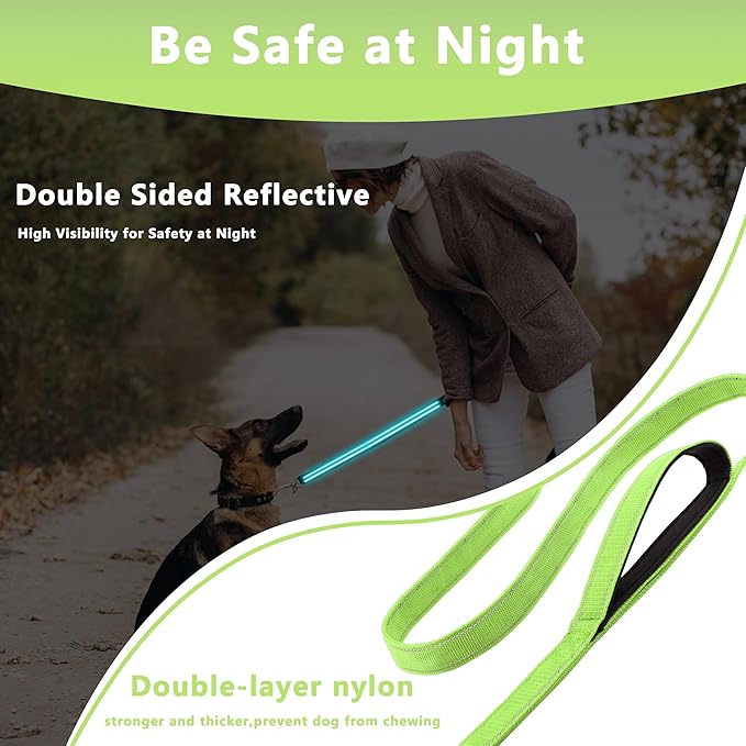 Dog Leash 6.5ft Long, Double Handle Dog Leash for Safety Control Training, Heavy Duty Dog Leads with Traffic Padded Handles, Reflective Leashes for Small Medium Large Dogs(6.5ft, Green)