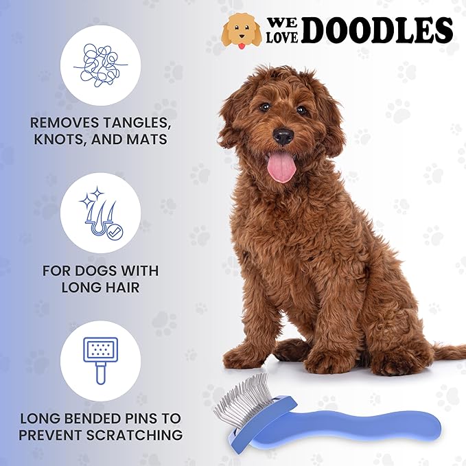 Slicker Brush for Dogs, Dog Grooming Supplies - Best Doodle & Poodle Brush for Haired Dogs - Goldendoodle Pin Detangler for Dematting (Medium Curved)