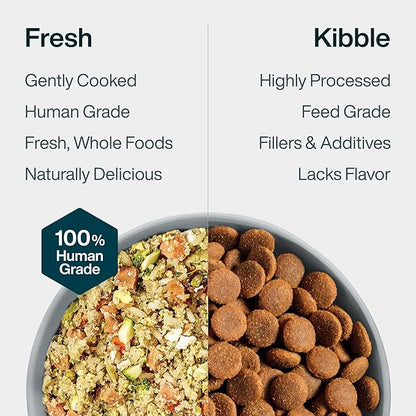 JustFoodForDogs Vet RX Pantry Fresh Prescription Dog Food, Human Grade, Vet Recommended Fresh Pet Meal, Limited Ingredient, Prescription Diet, Hepatic Support Low Protein, 12.5oz- 12 Pack