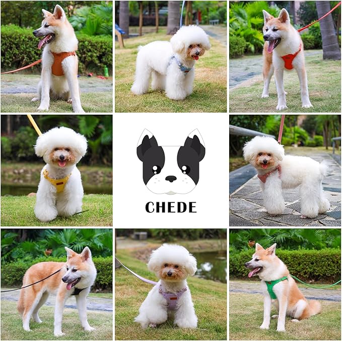 CHEDE No Pull Puppy Harness and Multifunction Dog Leash Set- 8 Colors Soft Adjustable No Choke Escape Proof Cute,Lightweight Pet Vest Harness for Small and Medium Dog (M, Yellow)