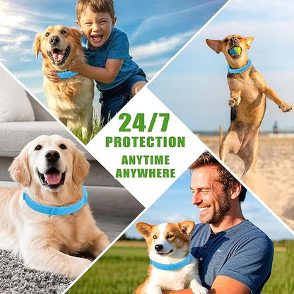 Natural Flea & Tick Prevention Dog Collars – 2-Pack Adjustable Waterproof Collars with Essential Oils (Lemon Eucalyptus, Citronella, Lavender, Linalool),Blue, Safe for All Breeds