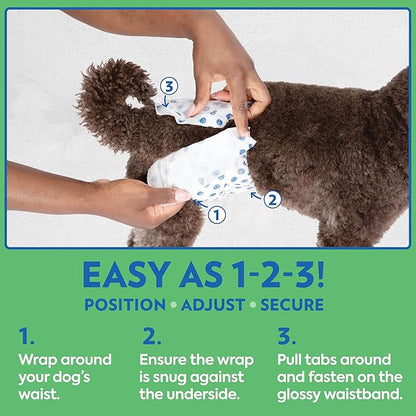 OUT! PetCare Disposable Dog Diapers Male, Puppy Belly Band, Potty Training, Doggie Diapers, Belly Bands for Male Dogs, Puppy Training, Adjustable Fasteners, Incontinence, (XS/S, 12ct)