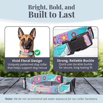 Lucky Love Dog Collars, Cute Large Dog Collars for Female Dogs, Part of Purchase Donated to Rescue (Large, Caroline, Collar)