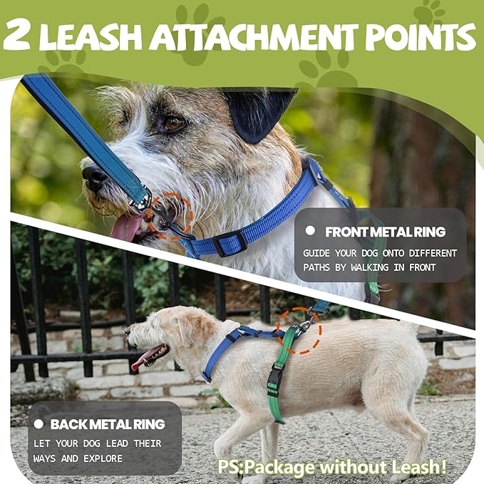 Roses&Poetry Dog Harness Medium Sized Dog, 6 Point Adjustable Fit No Pull Harness with Handle for Control and Easy Walking, Reflective Pet Halter Harnesses（Bluegreen-M）