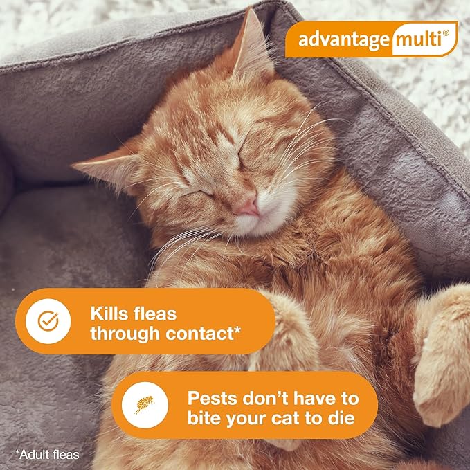 Advantage Multi for Cats 5-in-1 Heartworm Prevention | Kills Fleas & More | Cats 9.1-18 lbs. | 6-Month Supply