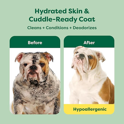 Earth Rated Hypoallergenic 3-in-1 Soothing Dog Shampoo & Conditioner for Dogs & Puppies, Deodorizing, 98.5% Natural Origin Ingredients, 16 oz