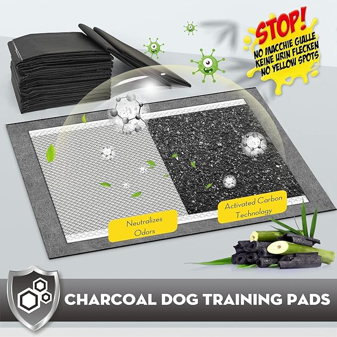 CROCI Potty Pads for Dogs XXL 30x36in, Charcoal Pet Pee Pads Odor-Control & Super Absorbent Up to 10 Cups, 6-Layer Quick Dry & Leak-Proof with Adhesive Tabs, Disposable (40 Counts)