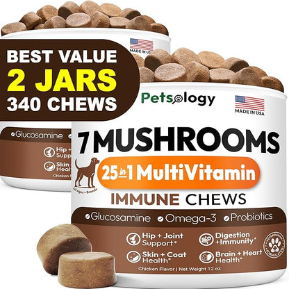 (2 Pack) Turkey Tail Mushroom for Dogs - 340 Chews - Lion’s Mane - Shiitake - Reishi - Buddy Immune Support Guard - Mushroom Supplement for Dogs with Glucosamine, Health Vitamins Multivitamin