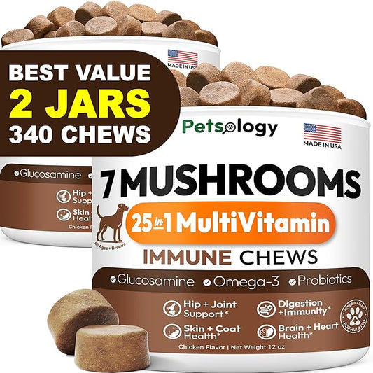 (2 Pack) Turkey Tail Mushroom for Dogs - 340 Chews - Lion’s Mane - Shiitake - Reishi - Buddy Immune Support Guard - Mushroom Supplement for Dogs with Glucosamine, Health Vitamins Multivitamin