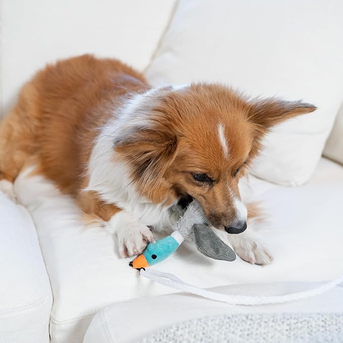 Outward Hound Tail Teaser Interactive Dog Wand Toy with Squeaky Plush Teaser and Crinkle Sounds for Active Play, Multicolored