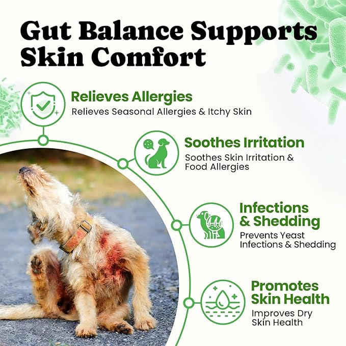Probiotics for Dogs - Digestive & Gut Health for Sensitive Stomachs ，Dog Probiotics Powder for Skin & Coat, Breath and Immunity with 11 Strains, 4 Prebiotics, 5 Enzymes, Pumpkin, 60 Packets, Chicken