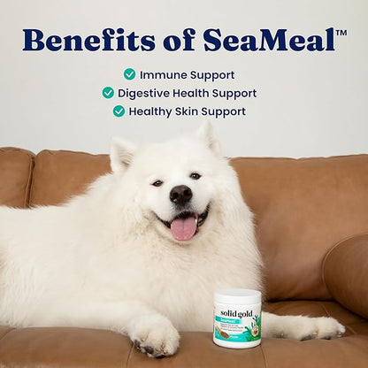 Solid Gold SeaMeal Cat Probiotic & Dog Probiotics for Digestive Health - Kelp Powder Dog & Cat Multivitamin Supplement w/Prebiotics & Digestive Enzymes for Skin, Coat, & Gut + Immune Support - 8oz