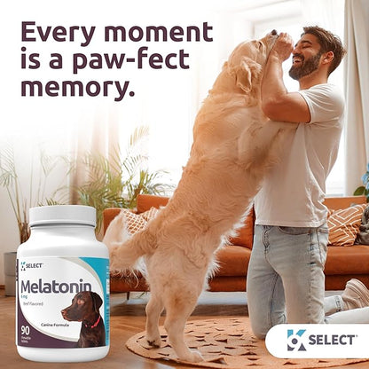 K9 Select Dog Melatonin for Large Dogs - Composure Dog Calming Chews - Canine Melatonin for Sleep - Reduce Stress for Large Canines - 6 mg, 90 Beef Flavored Chewable Tablets