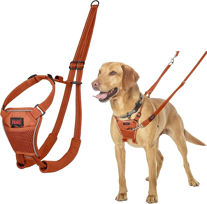 Halti No Pull Harness - Stop Your Dog Pulling on The Leash. Adjustable, Lightweight and Easy to Use. Reflective Dog Training Harness for Medium Dogs (Size M, Burnt Orange)