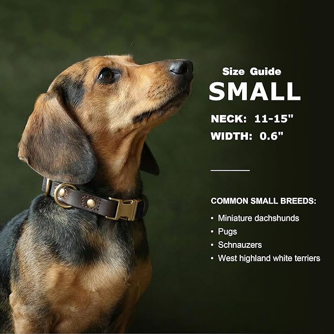 Didog Soft PU Leather Dog Collars for Small Dogs,Classic Adjustable Dog Collars with Quick Release Metal Buckle,Easy Clean and Comfortable with Nylon Lining,Black,S Neck 11-15"