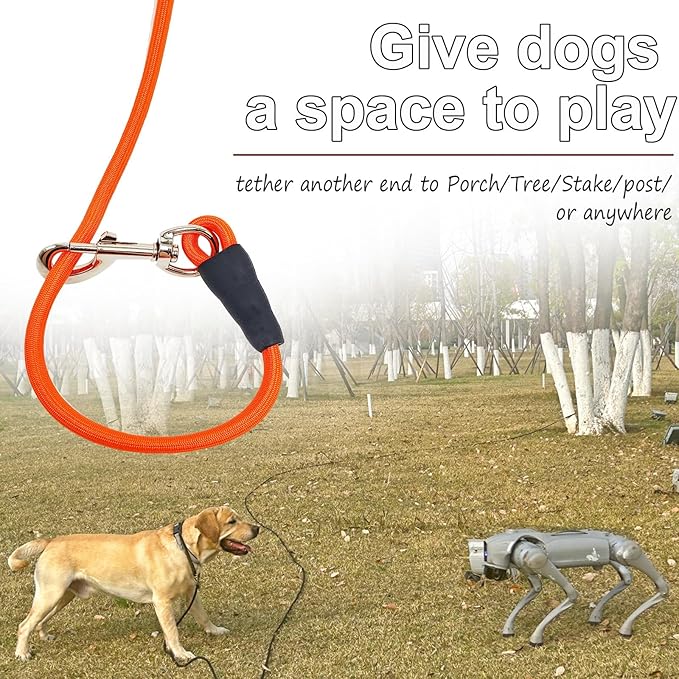 20FT Dog Tie Out Leash, Long Tether 15ft 30ft 50ft 65ft Nylon Rope Check Cord for Medium Large Dogs Indoor/Outdoor Playing Camping Backyard (Orange, 3/8")