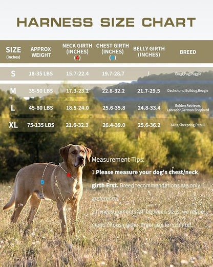 Small Dog Harness, Heavy Duty Tactical No Pull Dog Harness, No Choke, Easy On and Off Pet Vest with Molle System, Adjustable Reflective Dog Vest with Breathable Padded for Walking Hiking Training