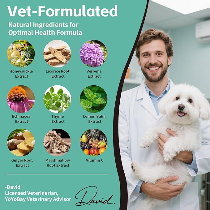 Kennel Cough Medicine for Dogs – Natural Respiratory Support | Helps Soothe Tracheal Collapse, Dry & Wet Cough, Choking & Wheezing | Honeysuckle, Licorice, Lemon Balm 200 Chew