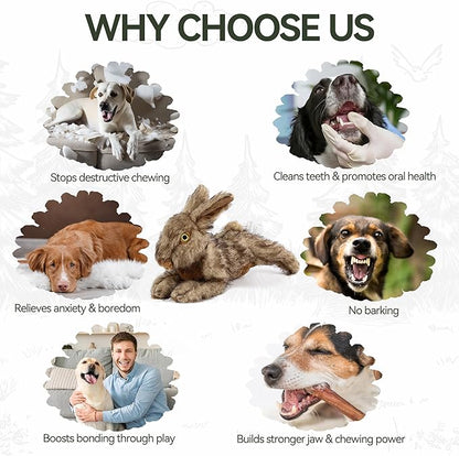 ALL FOR PAWS Squeaky Dog Toys, Dog Stuffed Animal Toys, Plush Toy for Small Medium Large Dogs, Puppy Chew Toy with Squeaker, Brown Rabbit-S