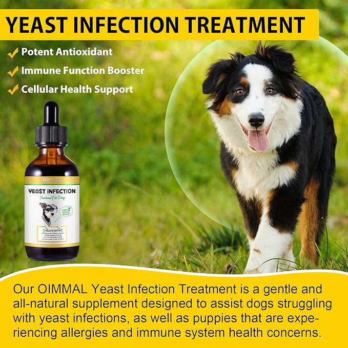 Yeast Infection Treatment for Dogs, Natural Dog Yeast Infection Treatment Supports Itch Relief, Ear Infection, Allergy Relief, Pet Supplies Dog Herbal Supplement, Bacon Flavor