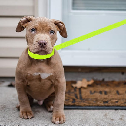 Slip Lead Dog Leash - 10 pcs Colorful 6 FT Short Dog Leashes with O-Ring for Small Large Dogs Puppy Cats Walking Training Running Rescues Grooming Shelter,etc.